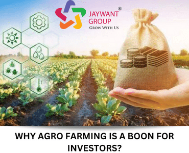 Agra-Farming -Lands-In-Pune | Benefits-of-Buying-Agro-Farming-Lands