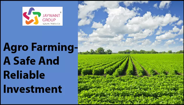 Agro-Farming | Benefits-Of-Agro-Farming | Land-Investments-In-Pune
                            