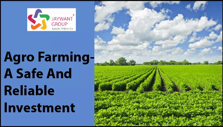 Agro-Farming | Benefits-Of-Agro-Farming | Land-Investments-In-Pune
                            